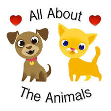 allabout the animals.jpg