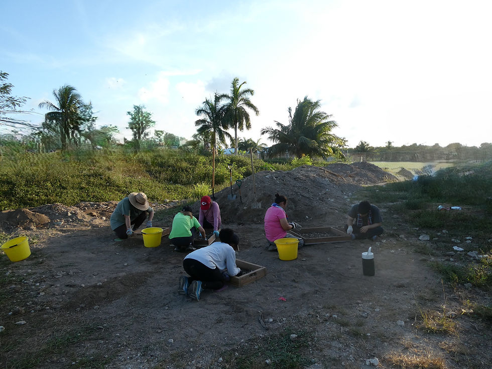 Volunteers working careful to locate material at a CINM archaeological project