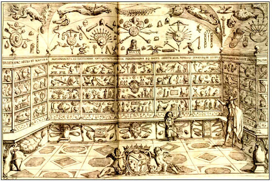 Ferdinando Cospi Cabinet of Curiosities c1660