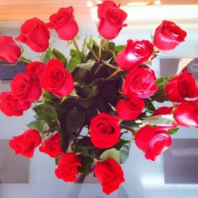 Day 73: When the Universe sends you flowers