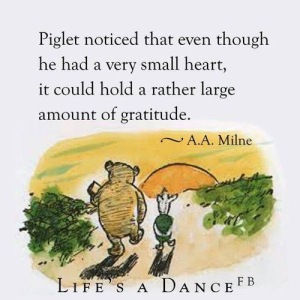 Day 265: Gratitude