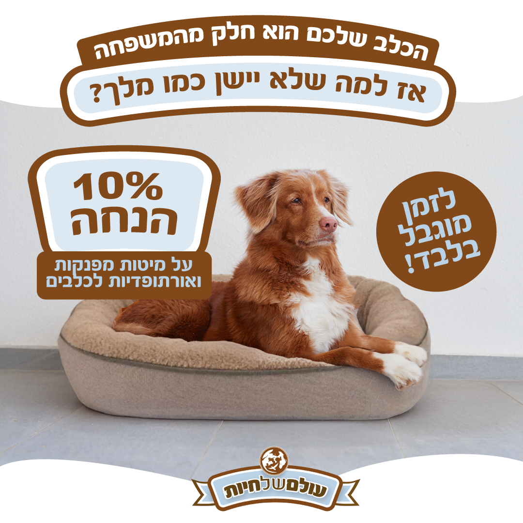 קריאייטיב נוסף מתוך תיק רשת עולם של חיות — 2
