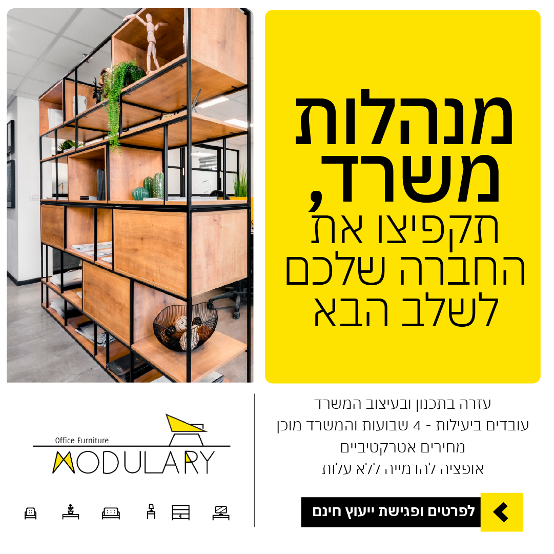 קריאייטיב מתוך תיק מודולרי, תוצר 16