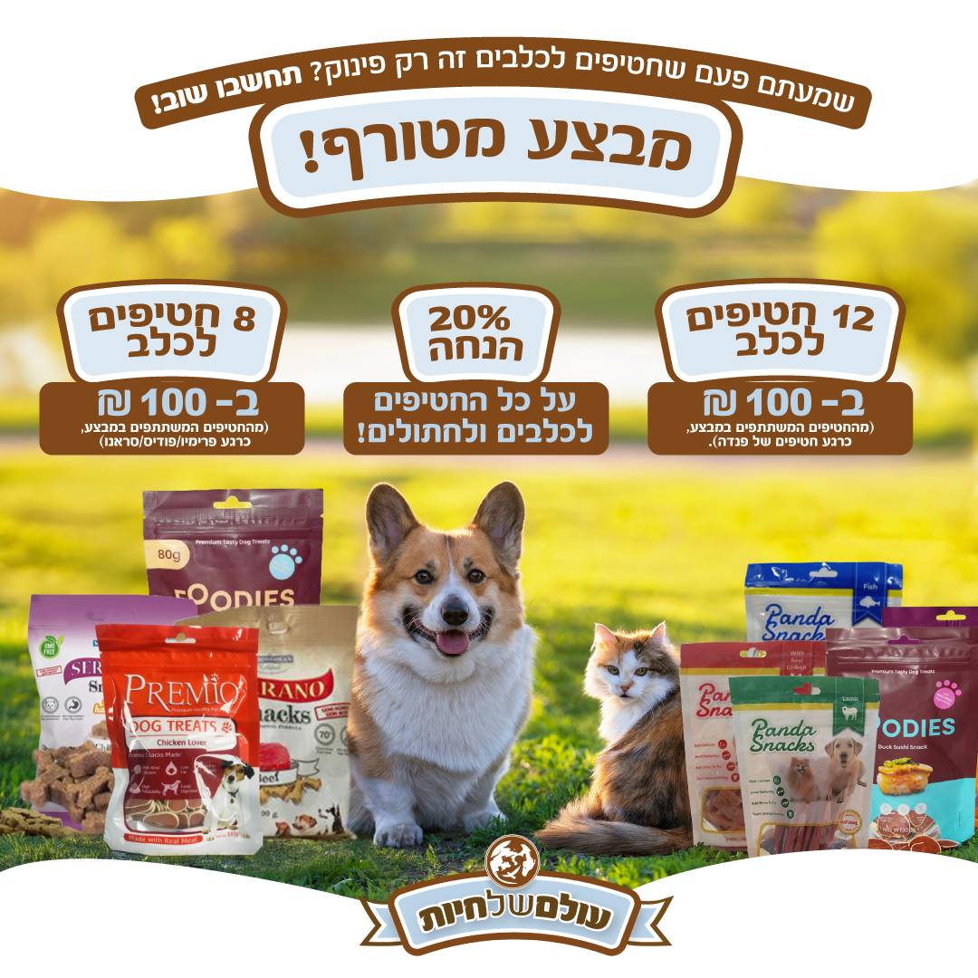 קריאייטיב מתוך תיק רשת עולם של חיות, תוצר 3