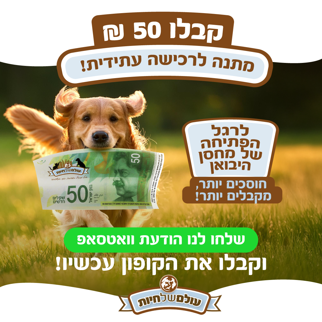 קריאייטיב נוסף מתוך תיק רשת עולם של חיות — 1