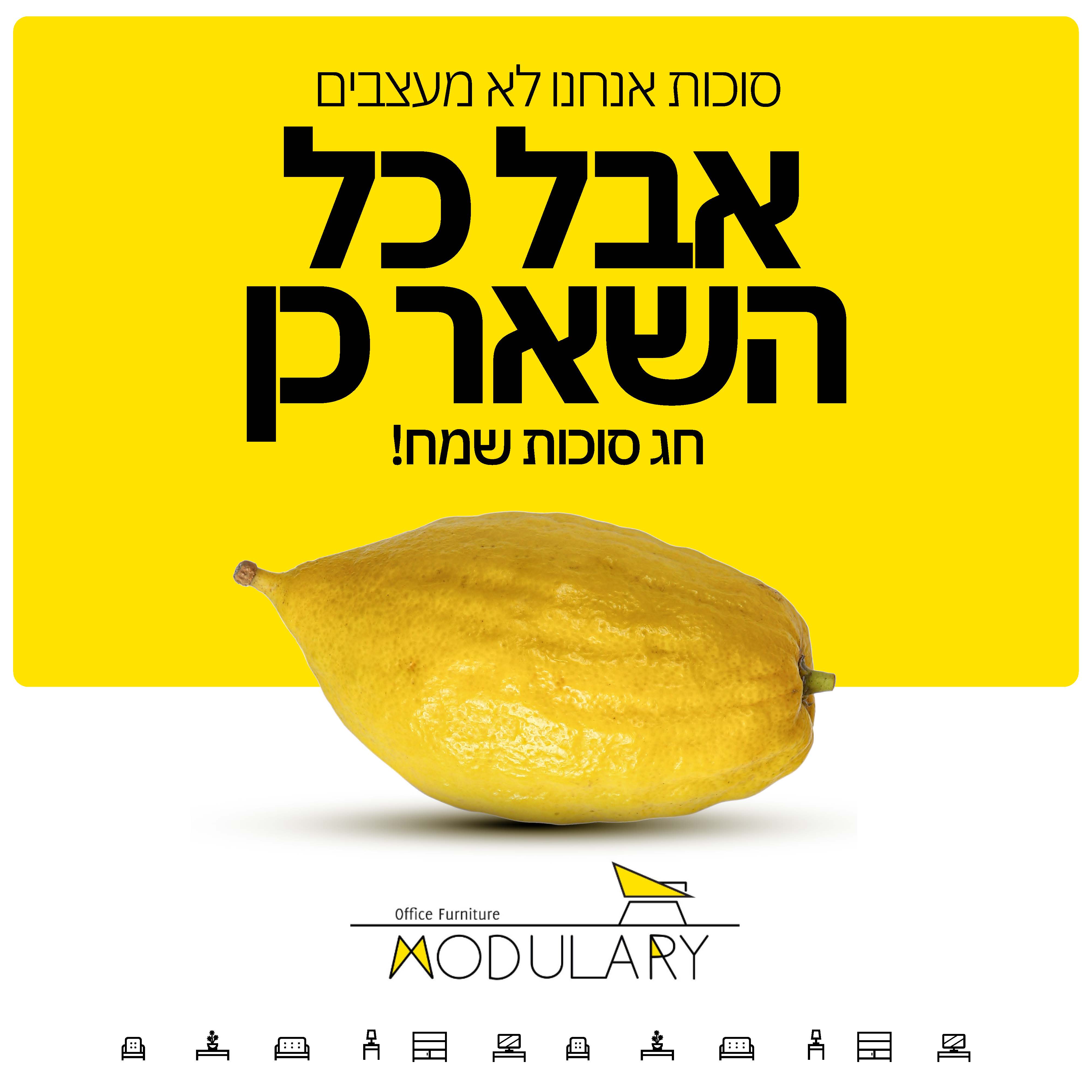 קריאייטיב מתוך תיק מודולרי, תוצר 20