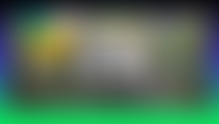 A Gestão Financeira dos Jovens: Excesso de Confiança e a Vulnerabilidade a Erros e Fraudes