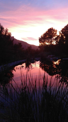 Natural pool in Mallorca