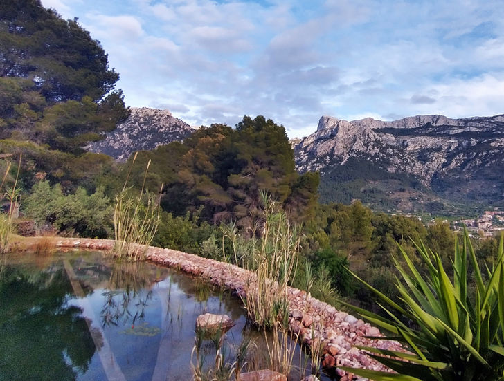 Piscine naturelle à Majorque