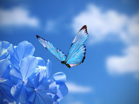 Choose To Be Authentic – It Is A Lot Easier To Be Yourself!