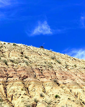 MESA SKY RZR.jpg