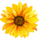 watercolor sunflower