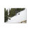 Thumbnail: Metal Print - Crow Over Snow
