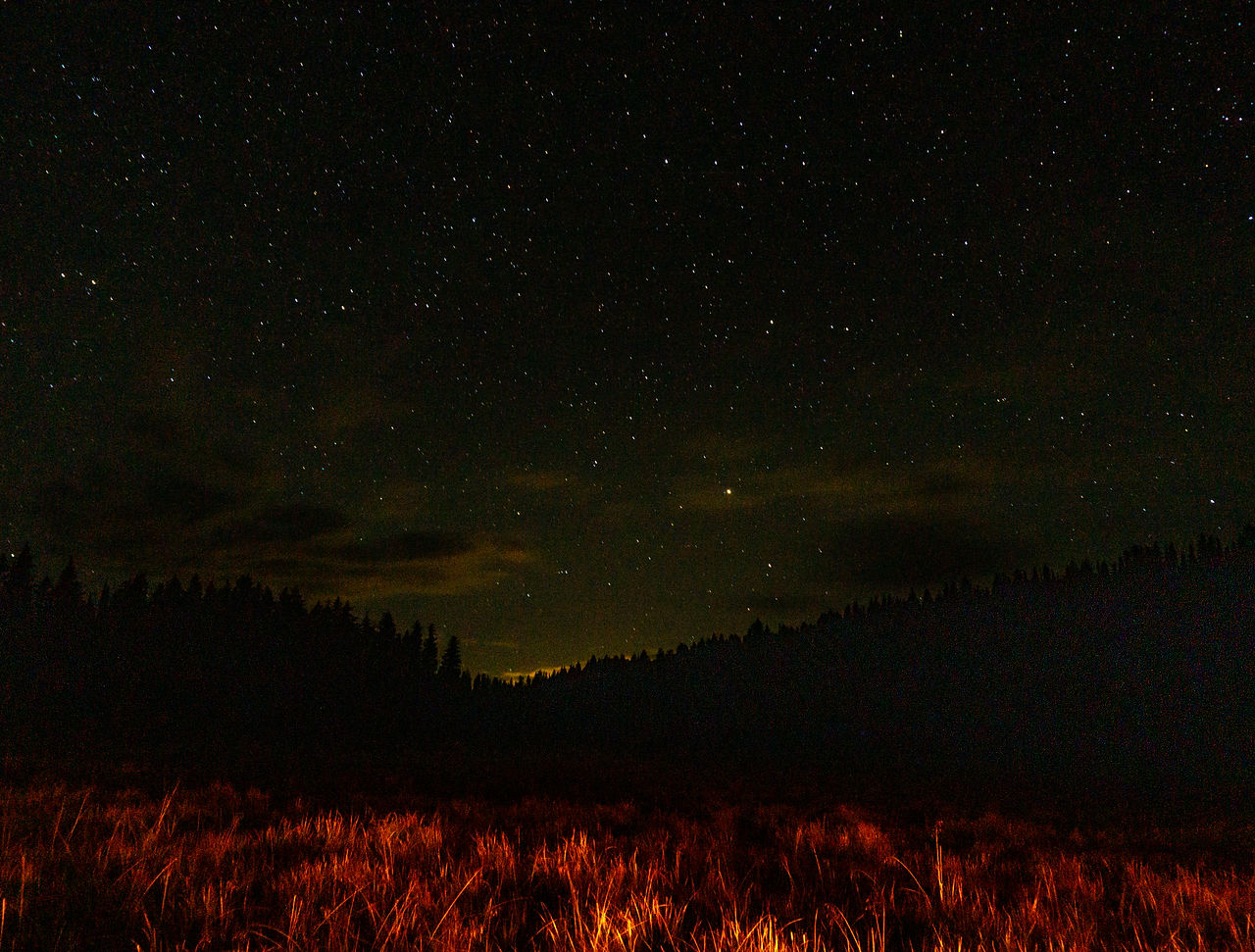DSC03876_1.JPG