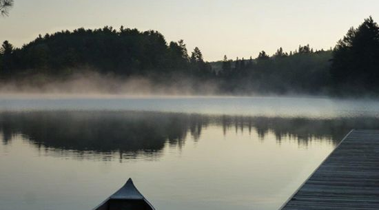 Amusing OUT OF OFFICE: AUTOMATIC REPLY