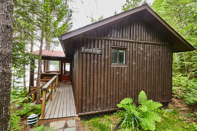 Arowhon-Jun 25 2021-181.jpg