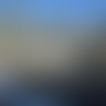 Winter Pictures & Early Signs of Spring