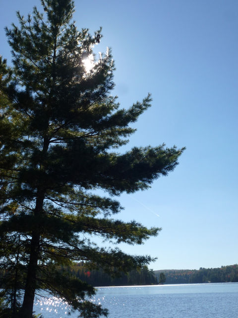 orange trail landscape.jpg