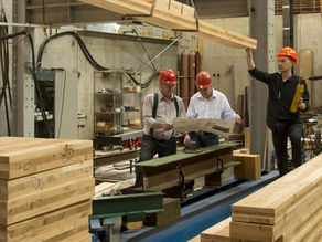 Staffing Solutions for the Lumber Industry Labor Shortage