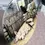 Thumbnail: Front right view of the BORDER FINE ARTS STUDIO PIG CLOCK MOSES & BERTHA PIGLET WALL BNIB