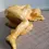 Thumbnail: Right side view of the Studio Art Of A Nude Woman Figure Lying Down in an orange glaze