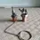 Thumbnail: Front view of the 2x Pewter Cork Stoppers 1x Wine Bottle Grapes Display. 1x Camel.
