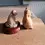 Thumbnail: Right side view of the x2 Pigs Leonardo Collection Pig Sitting Up and Pig On Wooden Mount C8
