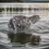 Thumbnail: Stylised right side view of the Vintage Glass Polar Bear Tea Light Holder Indiana
