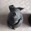 Thumbnail: Top view of pig 2