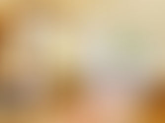 The Oberoi Rajvilas – Unforgettable Experiences