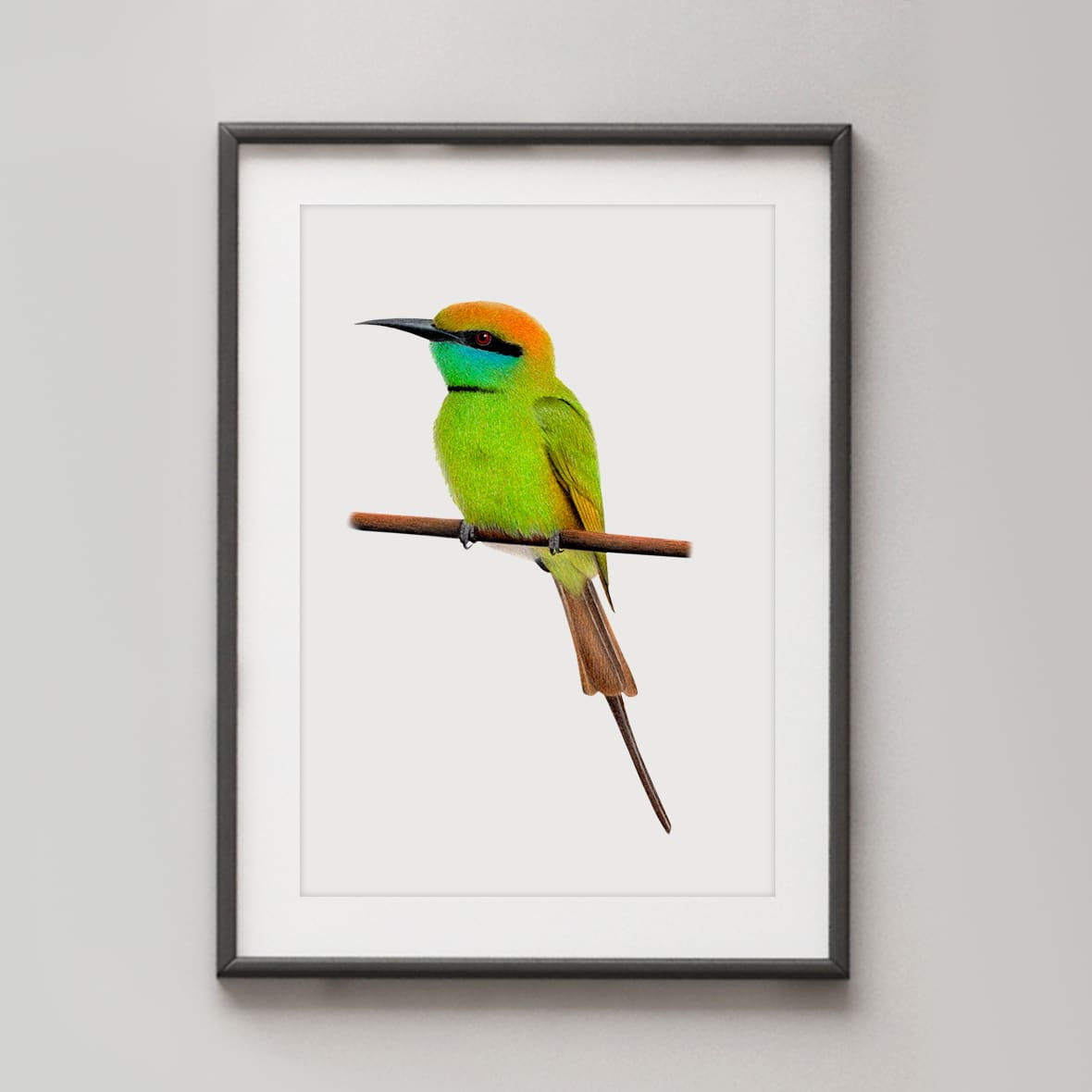 Green Bee-eater