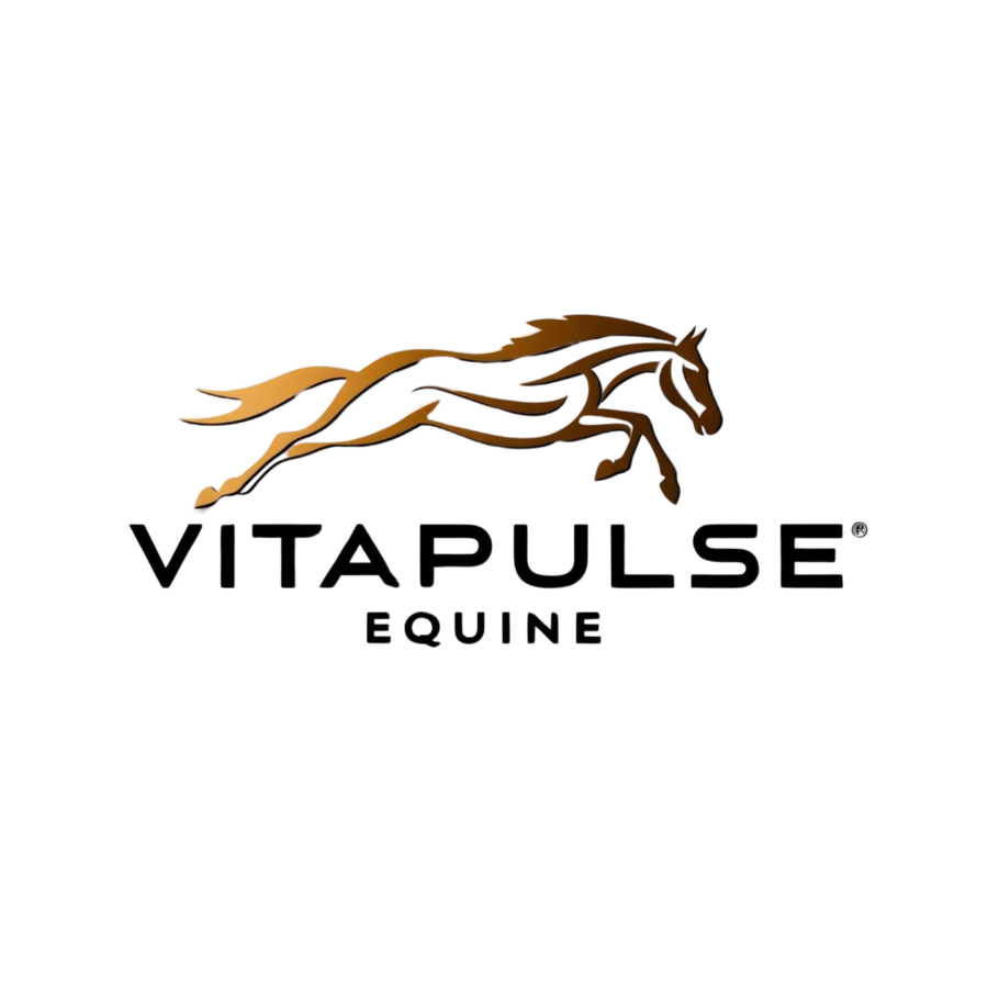 Vitapulse Equine