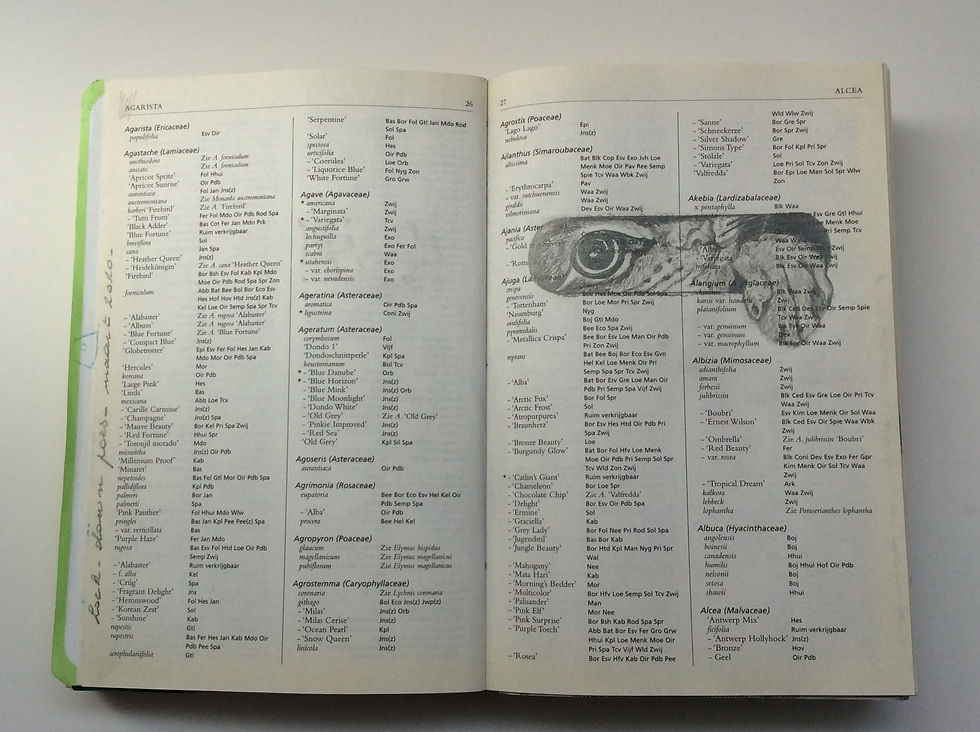 Schetsboek, collages, tekeningen,…