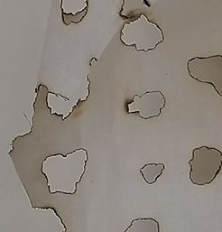 drapering3detail[1].jpg