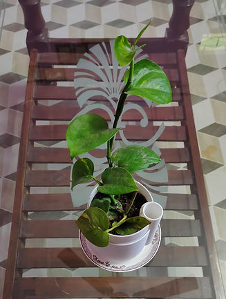 Environheal planter top view.jpg