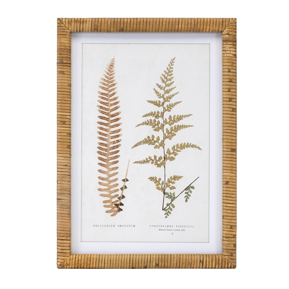 Thumbnail: Wood Framed Fern Print (Set of 4)