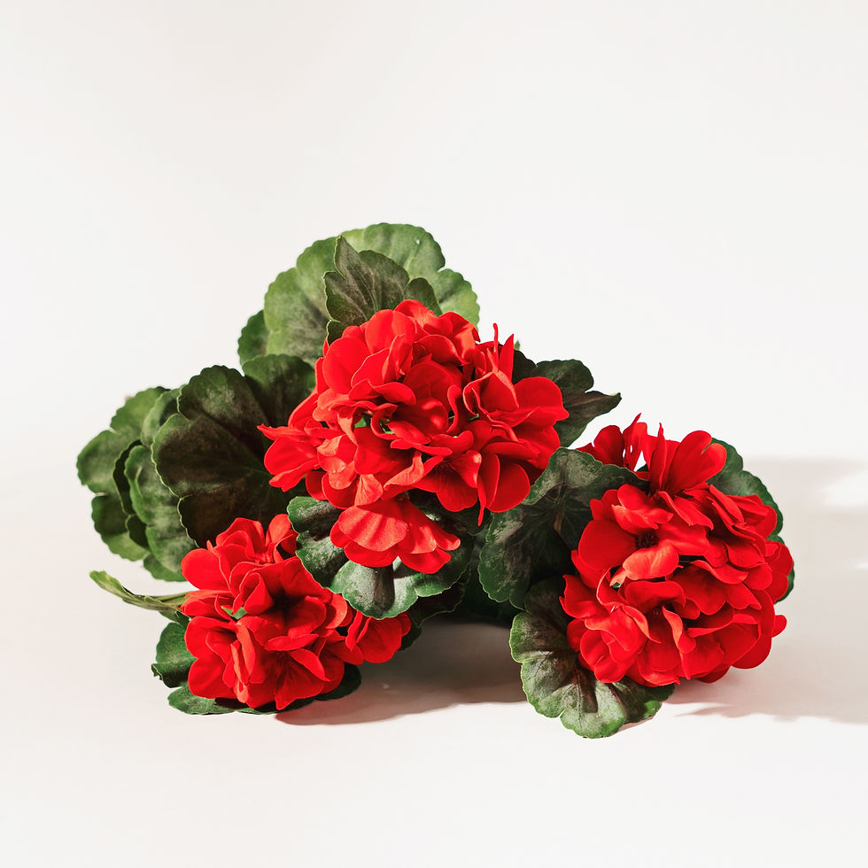 Thumbnail: Red Geranium Floral Bush (Set of 2)