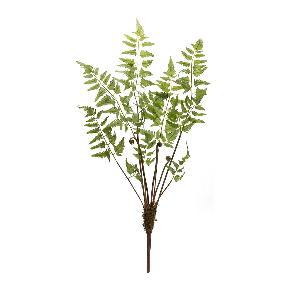 Thumbnail: Fern Bundle with Sprout Accents (Set of 6)