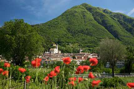 Centro storico di Ala foto Marco Simonini.jpg