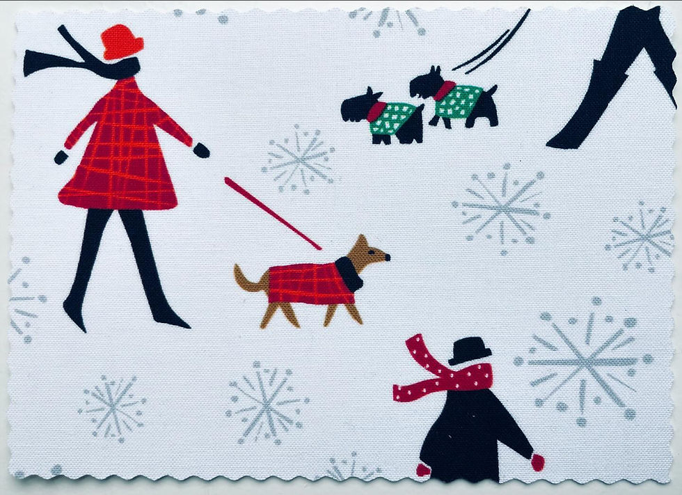 Winterausflug mit Hund