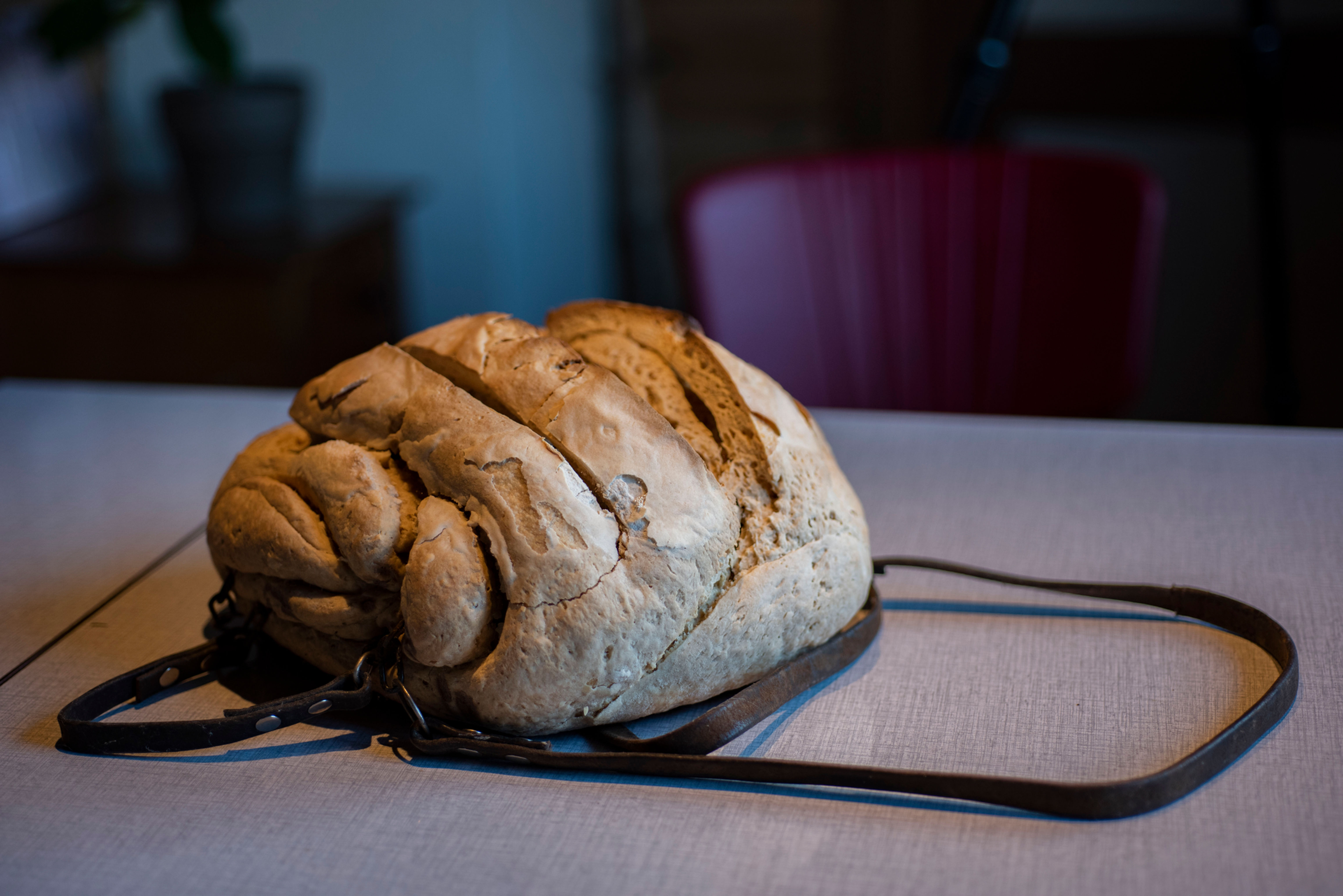 Breadbackpack (2015)