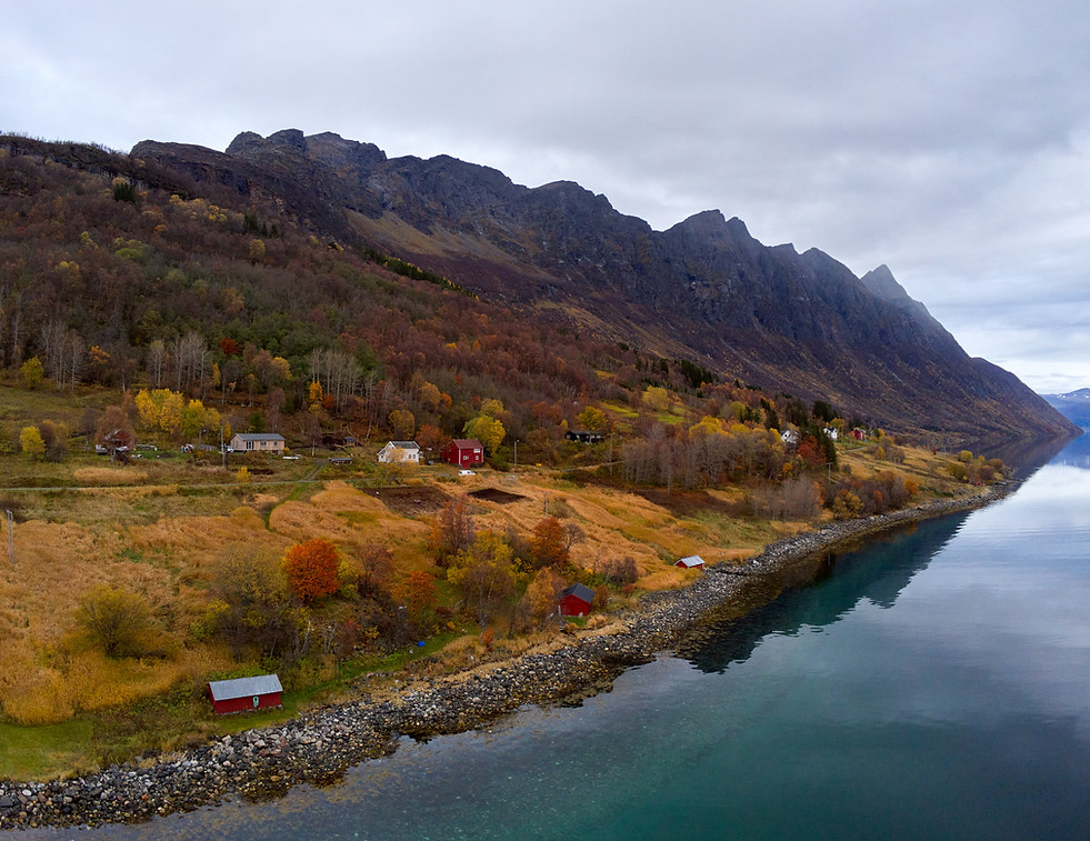 P5272124.jpg