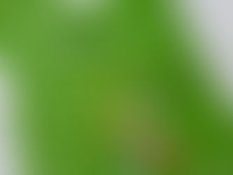 DonCARES Grants One-Hundred Dollar Fresh Grocer Gift Card to Family in Need