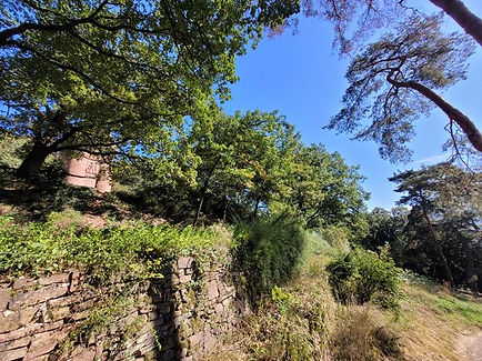 20230916_112407 (Copy).jpg