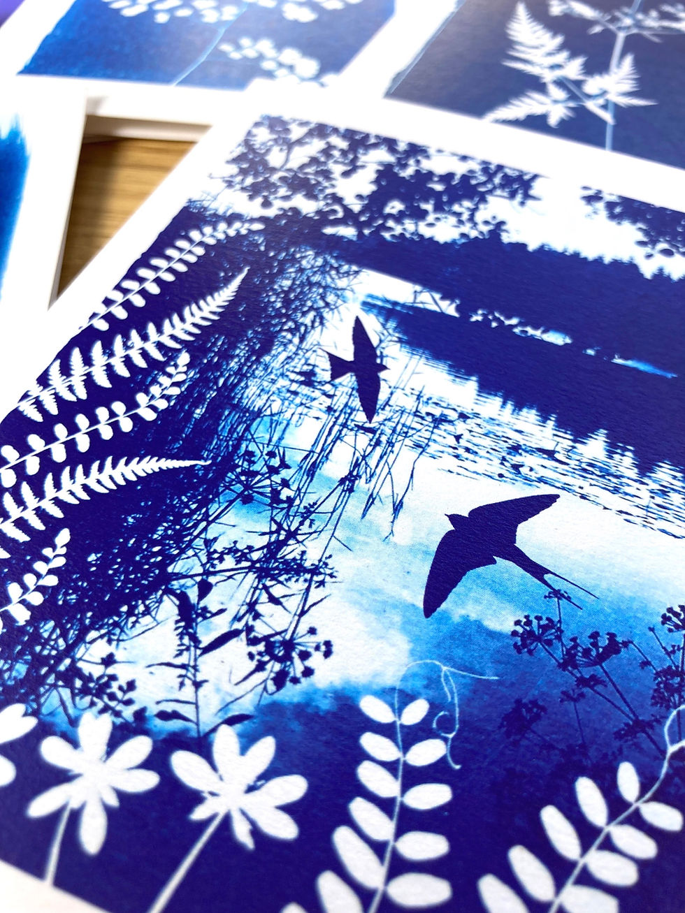 Thumbnail: Pack of 4 card designs from Cyanotype images