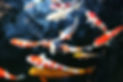 AdobeStock_104745092.jpg