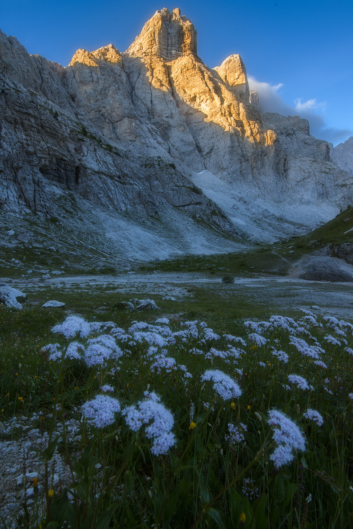 il giardino bianco