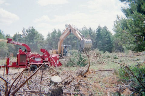 Thumbnail: Traditional Tree Work