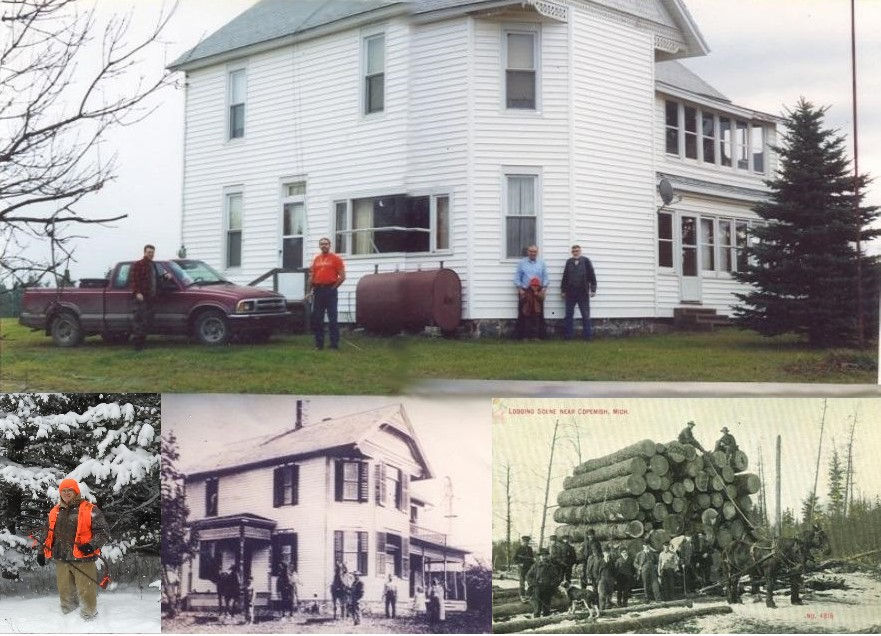 Thumbnail: Christmas Trees