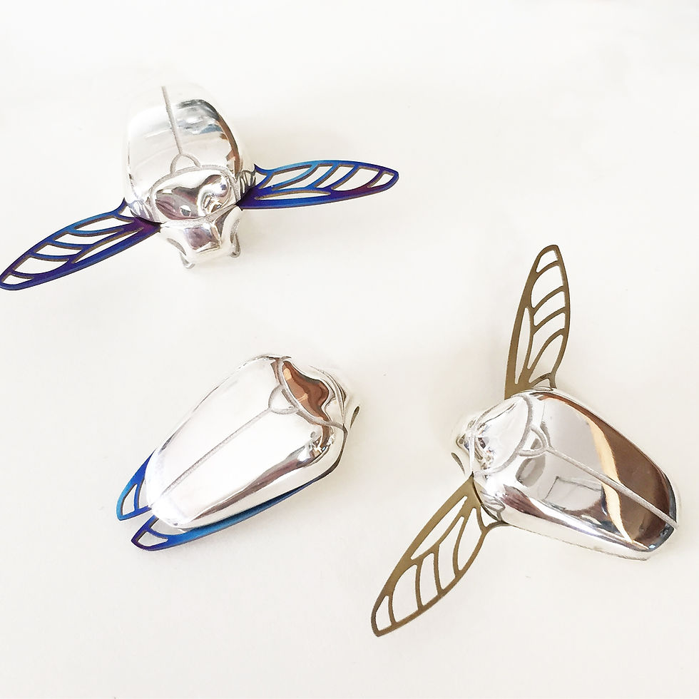 Thumbnail: Christmas Beetle